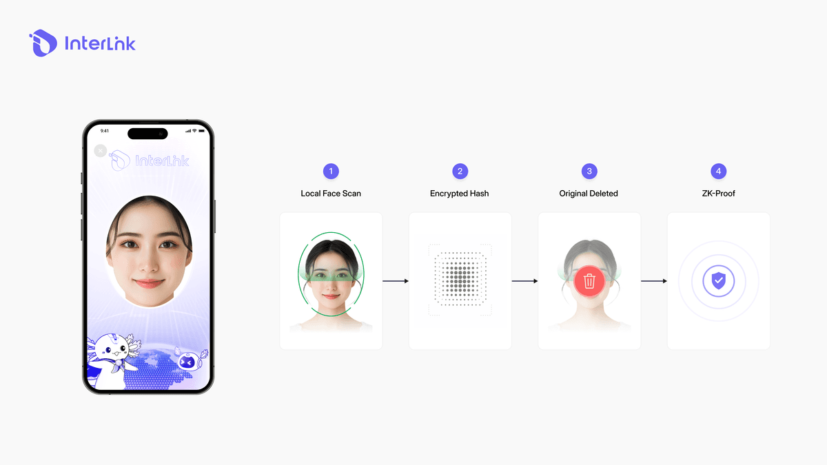Interlink on-device biometric processing showing face scan converted to encrypted hash inside Secure Enclave with original image deleted.