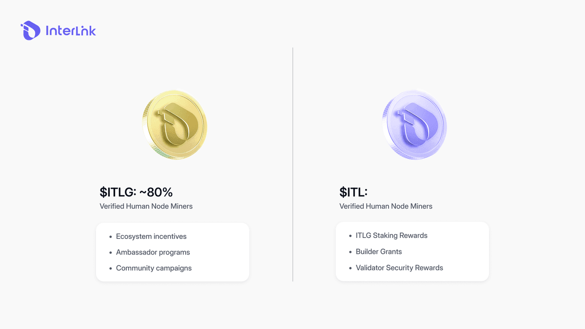 Bagan distribusi token InterLink menunjukkan 80% ITLG dialokasikan kepada penambang Human Node yang terverifikasi.