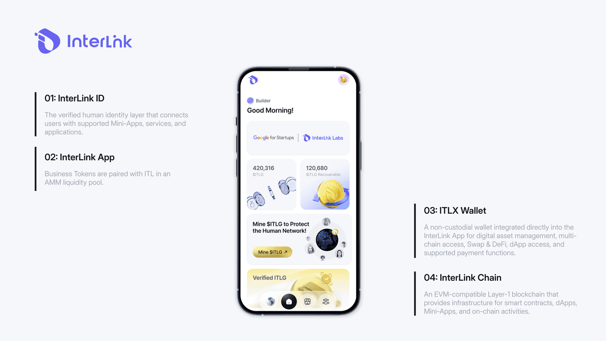 Das InterLink-Ökosystem zeigt die App, die ITLX Wallet und die InterLink Chain, die über die InterLink ID miteinander verbunden sind.