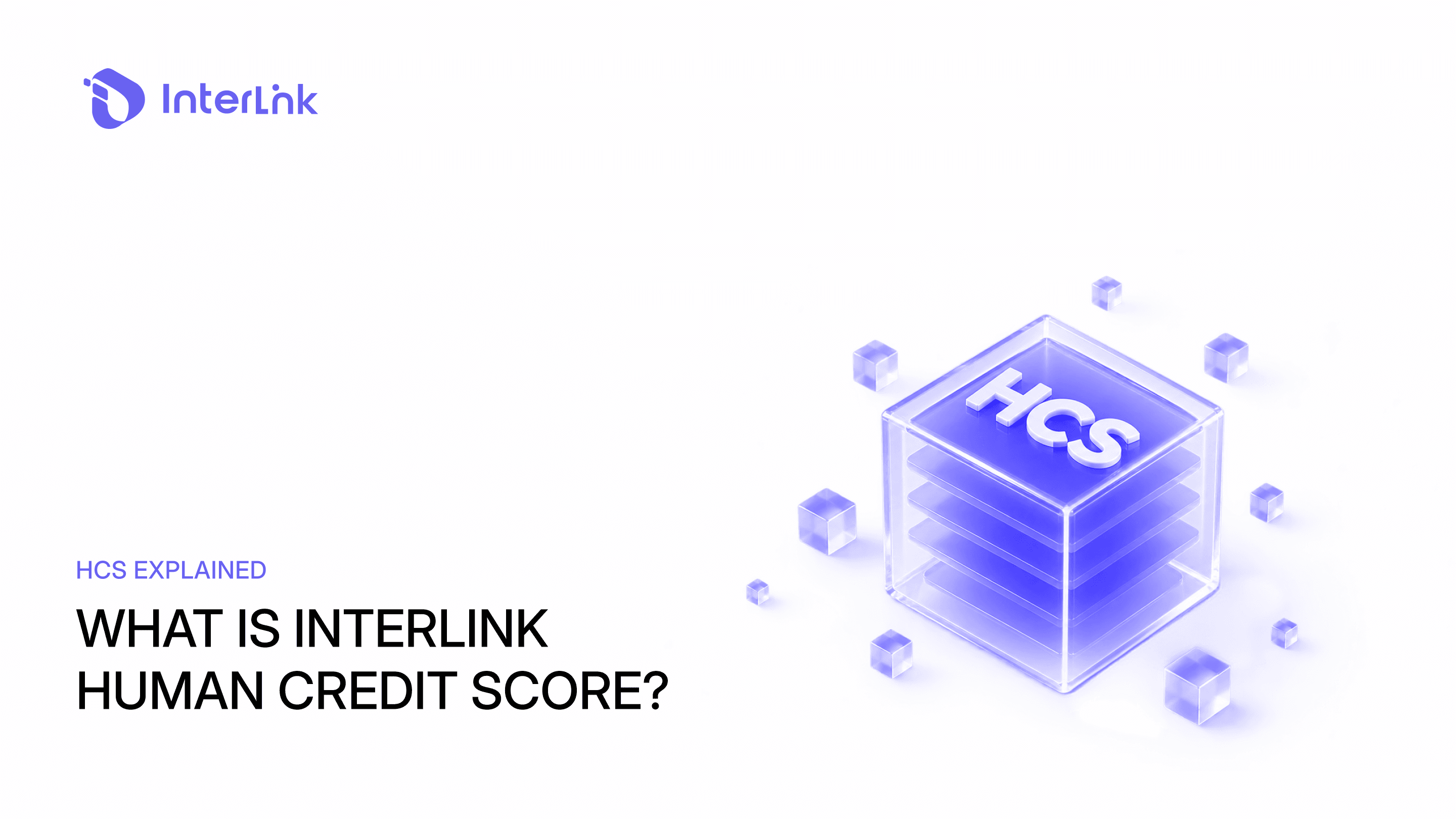 What Is InterLink Human Credit Score? HCS Explained