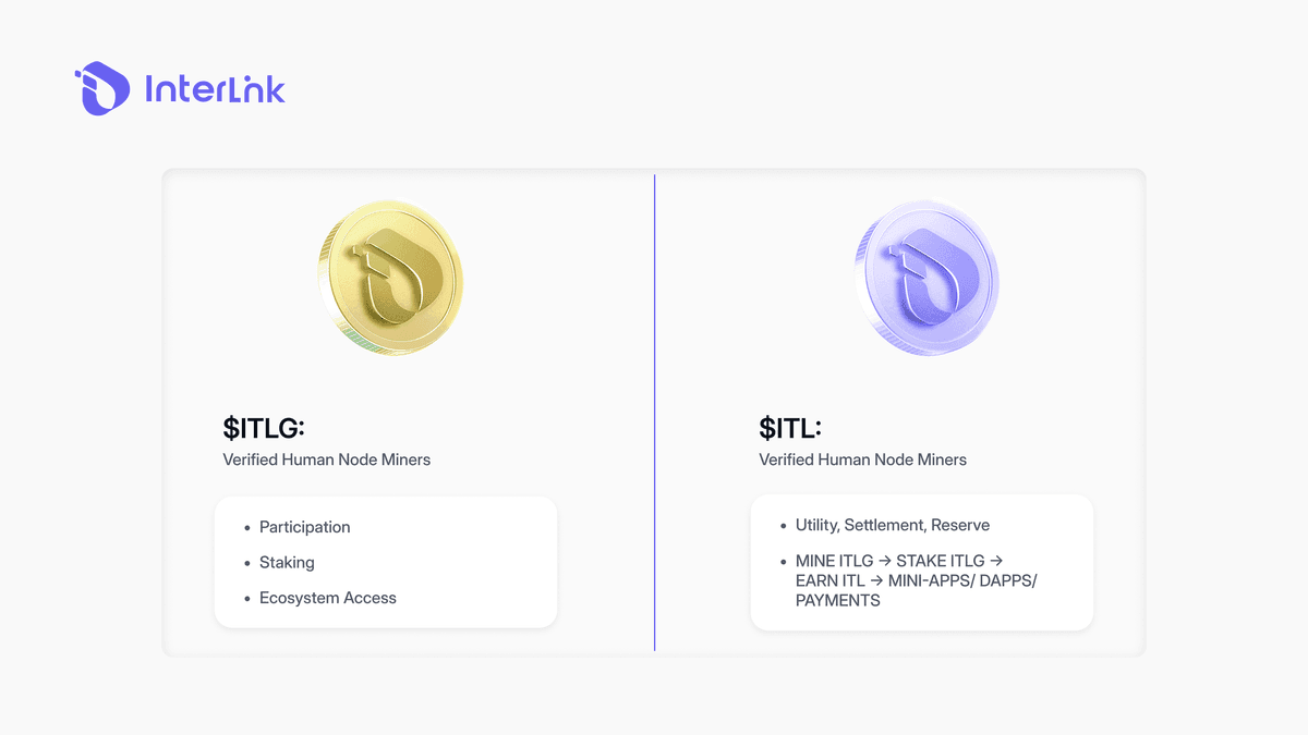 InterLink ecosystem flow: Mine ITLG, stake ITLG, earn ITL, spend via ITLX Wallet and Mini-Apps